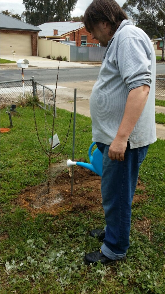 Malcolm watering first trees