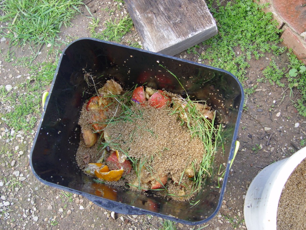 Scraps covered by bran.