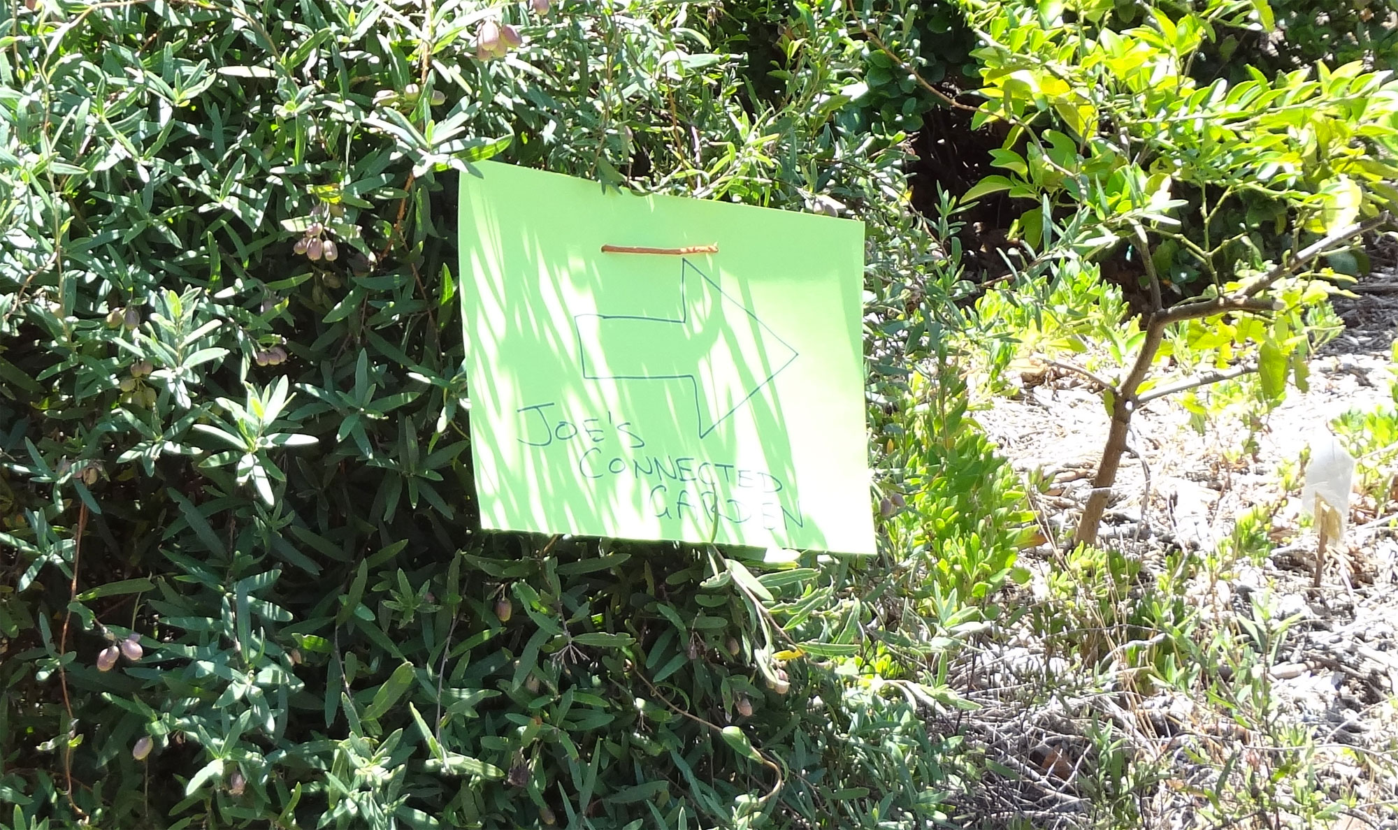 Joe's Connected Garden sign