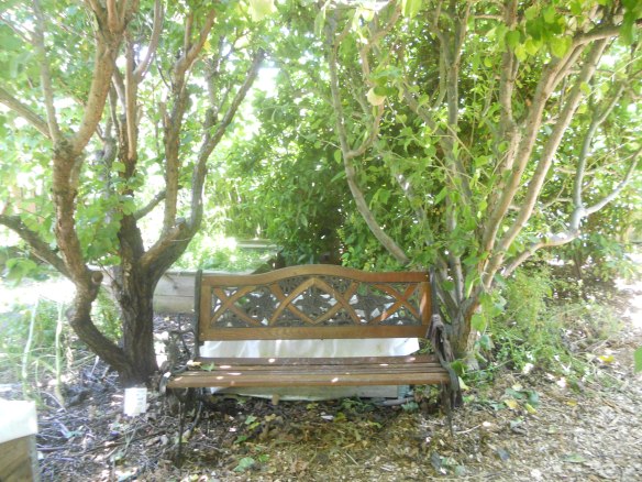 You'll definitely need a seat if your going to the Open Day. There's so much to see!