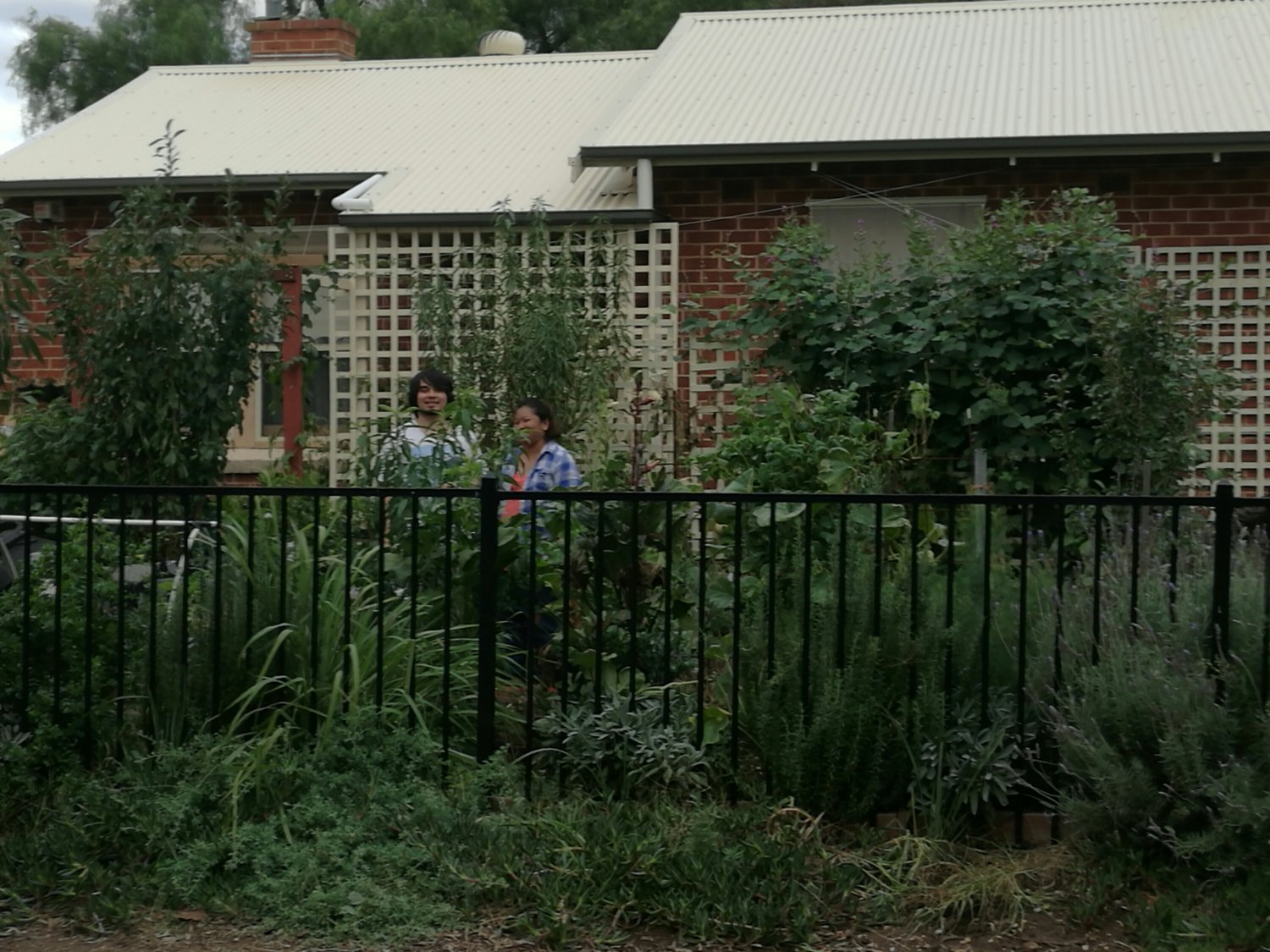 We can see the road now