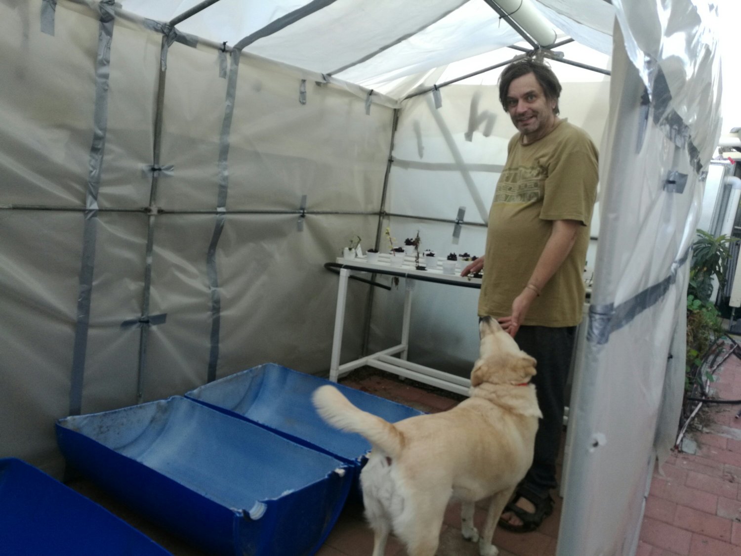 Athena telling me to take a rest, it's finished!