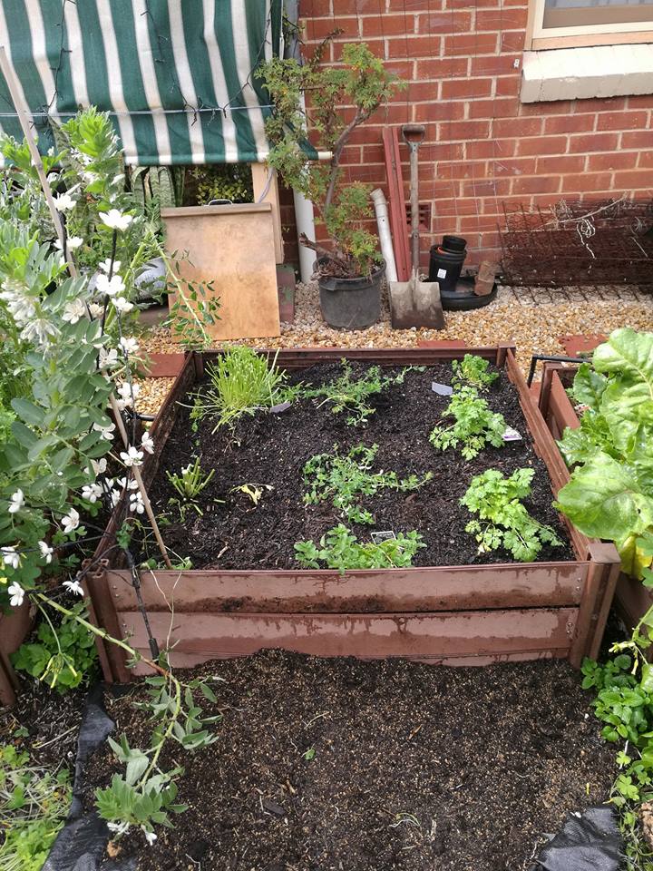 Kitchen vegetables near the front door.