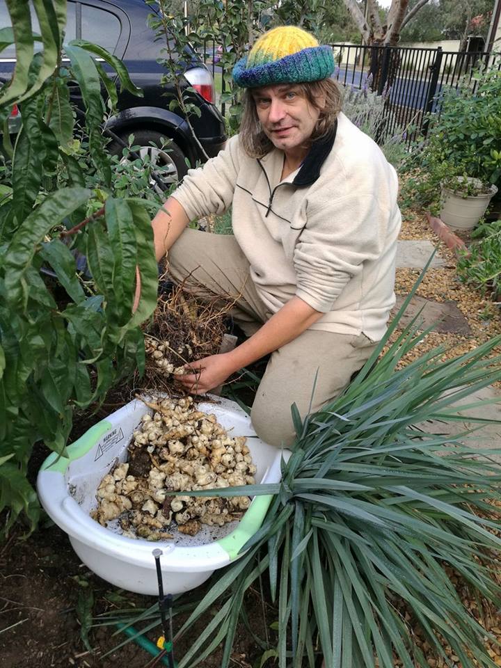 Weekly Garden Tips
