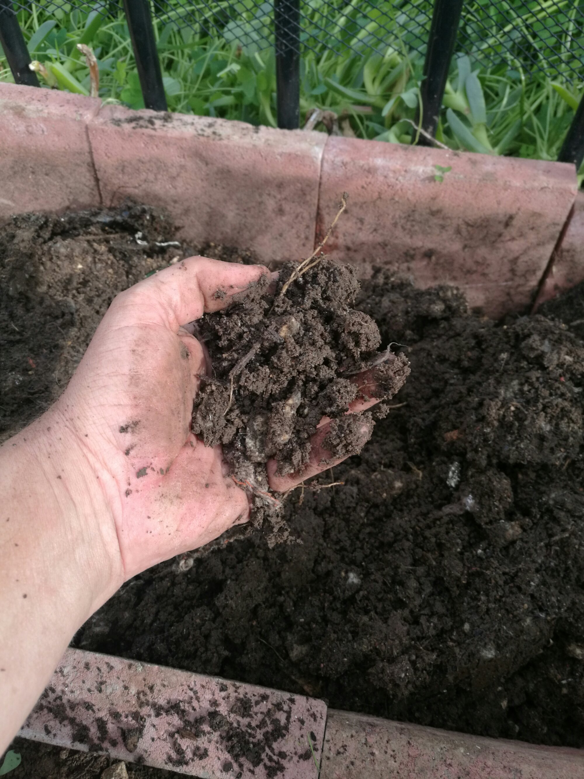 Great results from bokashi