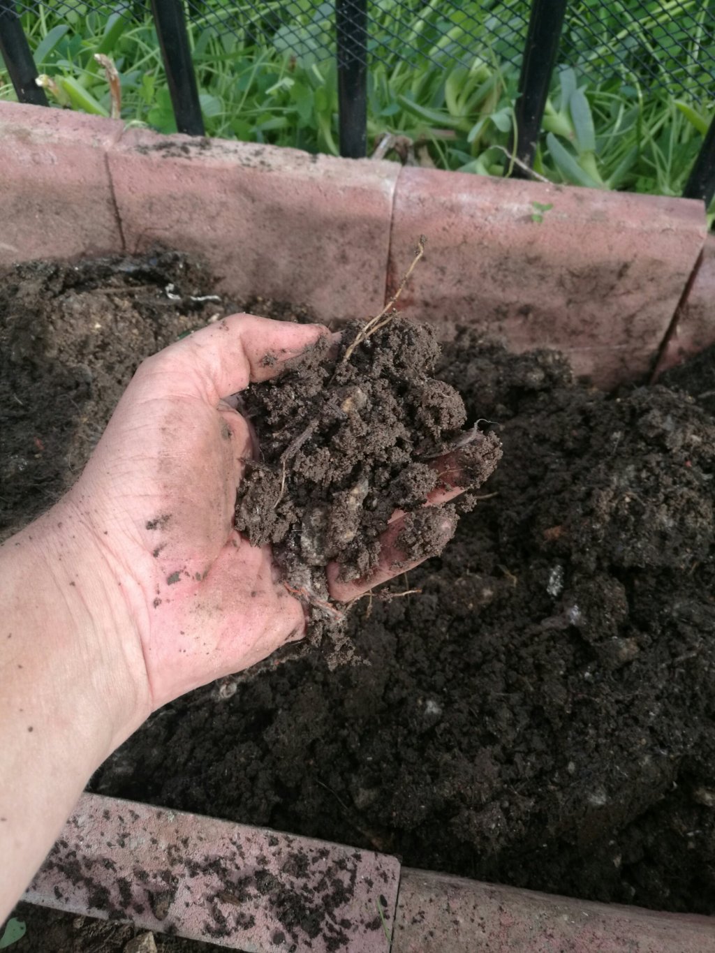 Great results from bokashi