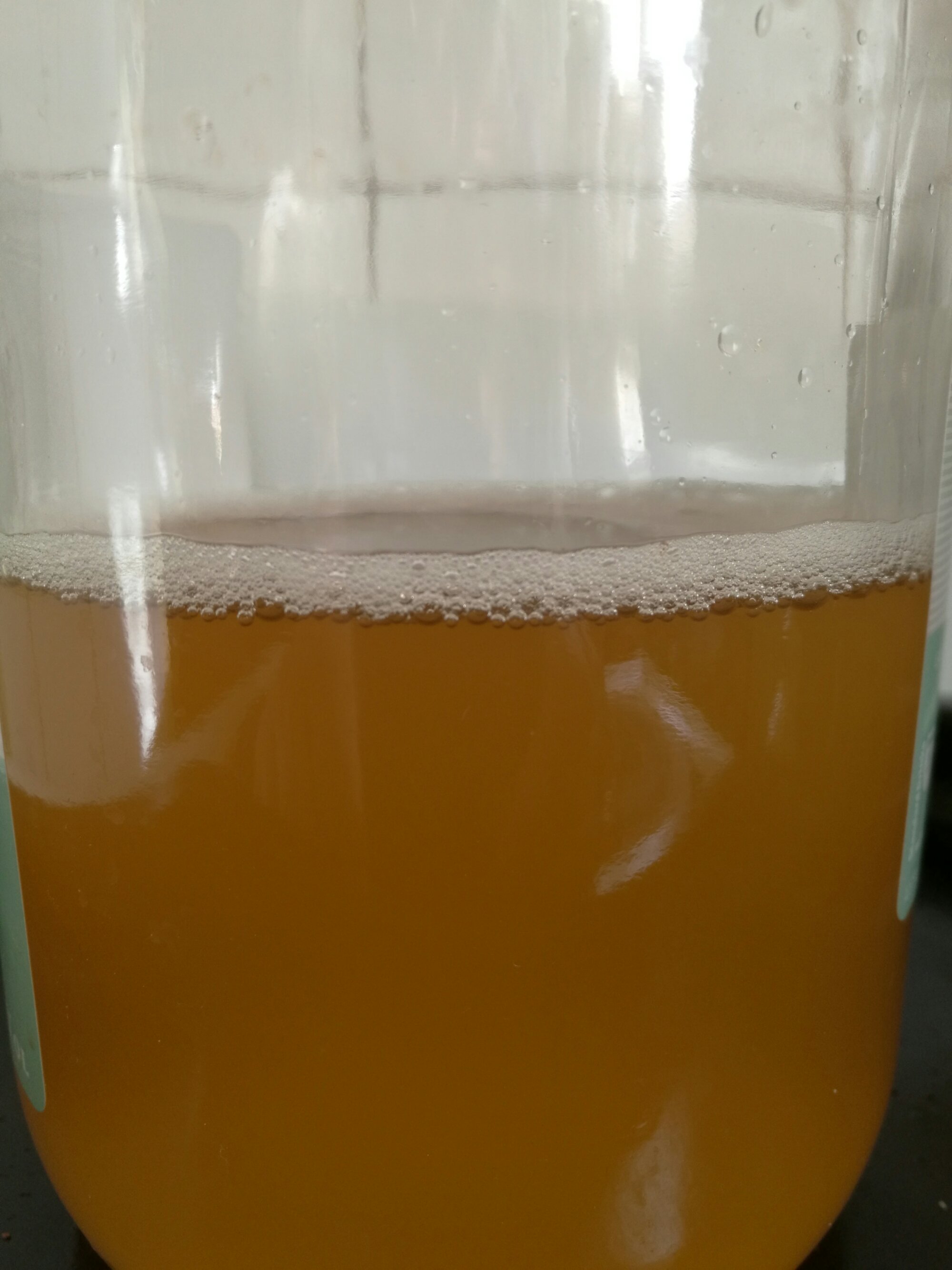 Bubbly, fermented wee!