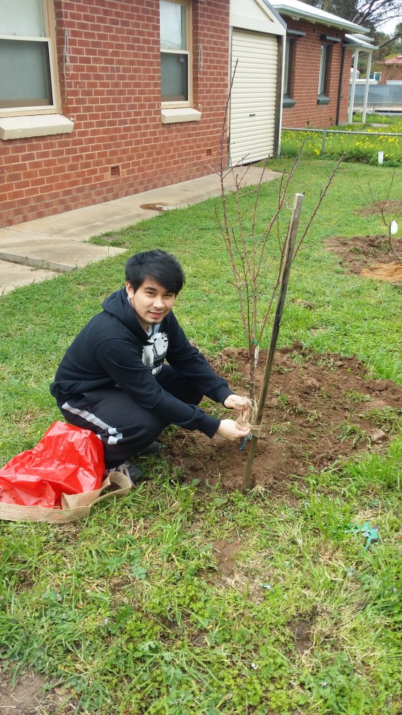 Marlon tline 2015 (15)