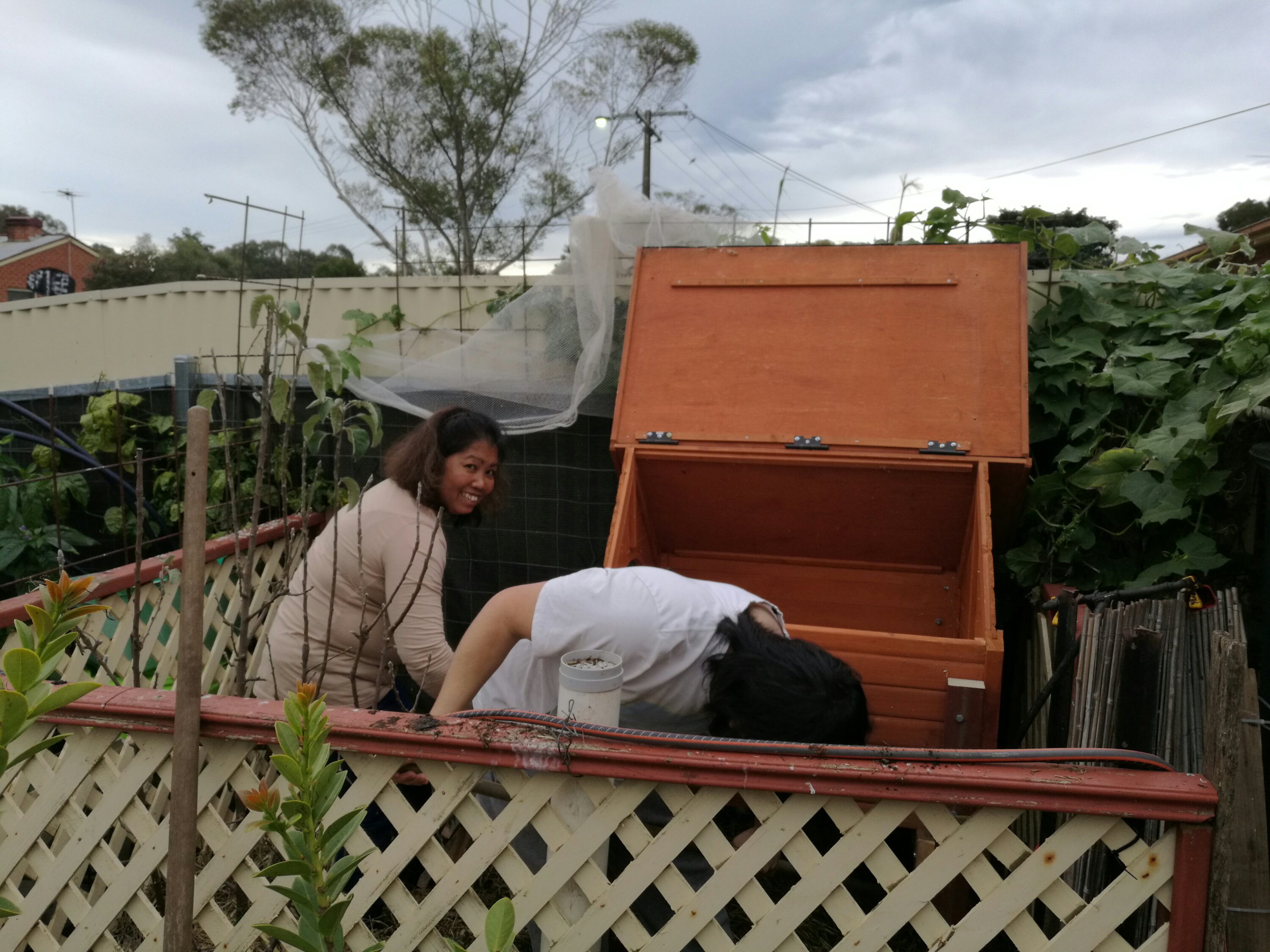 chicken run evaporative airconditioning