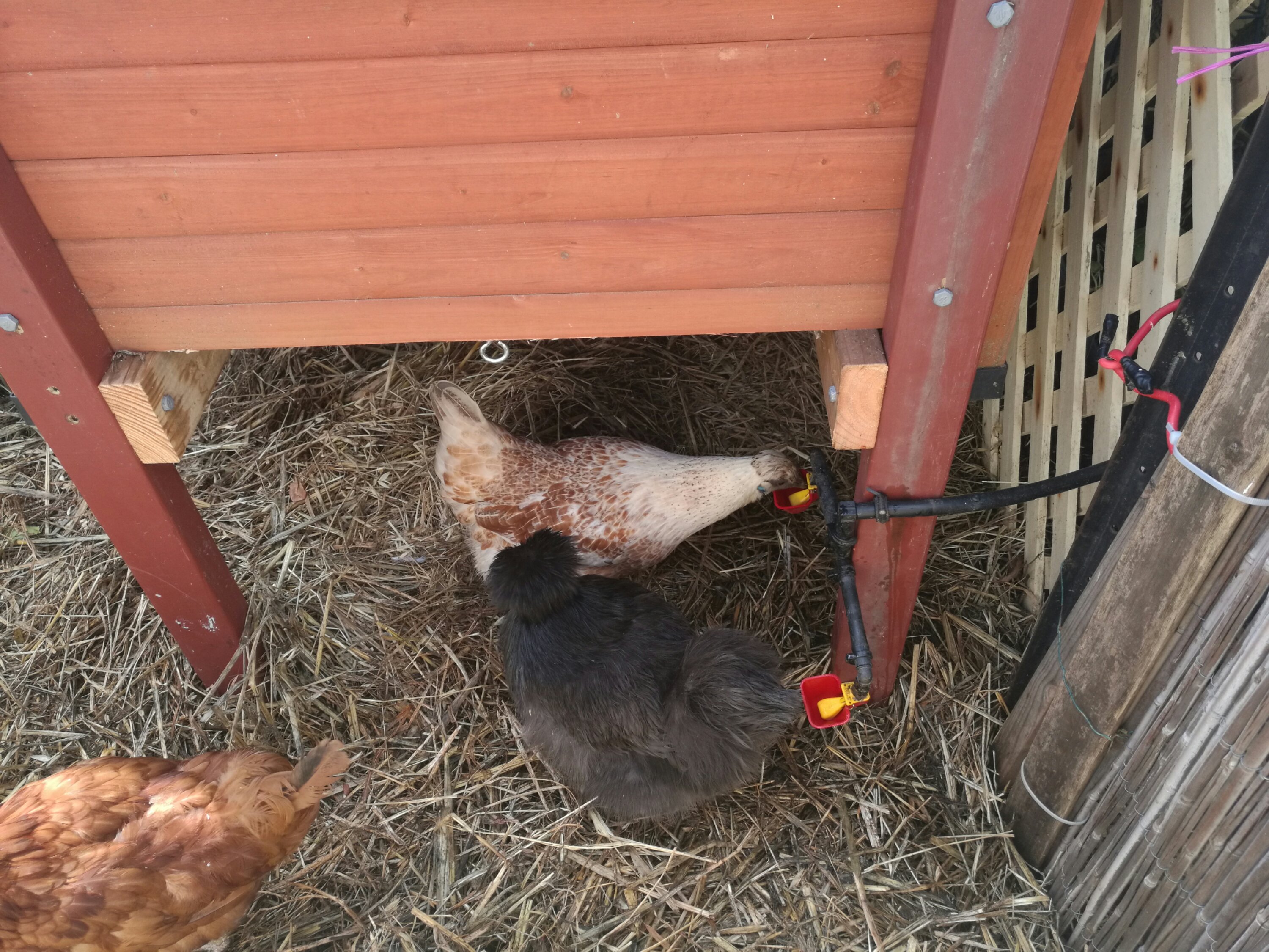 wp-image--1246483989