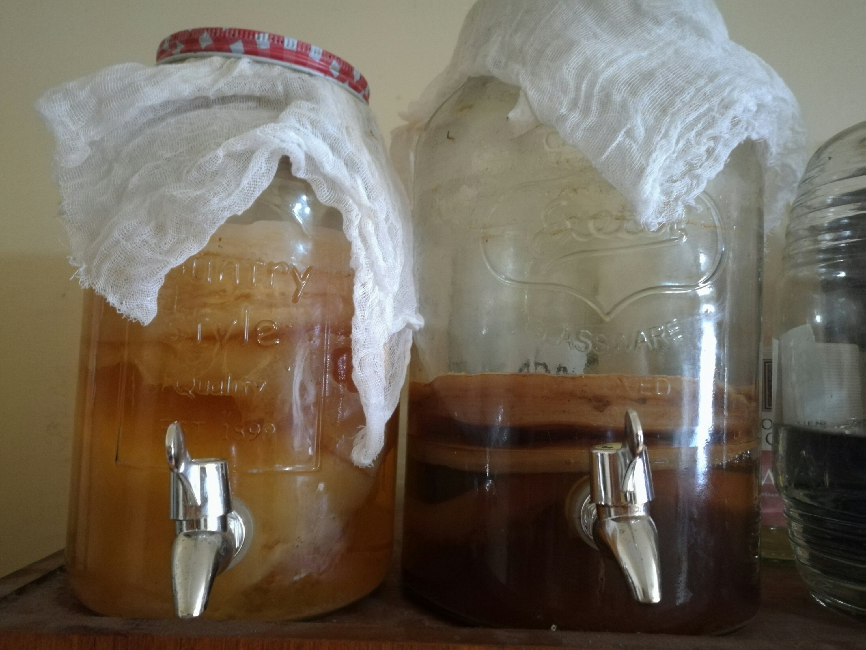 Apple cider vinegar and Kombucha
