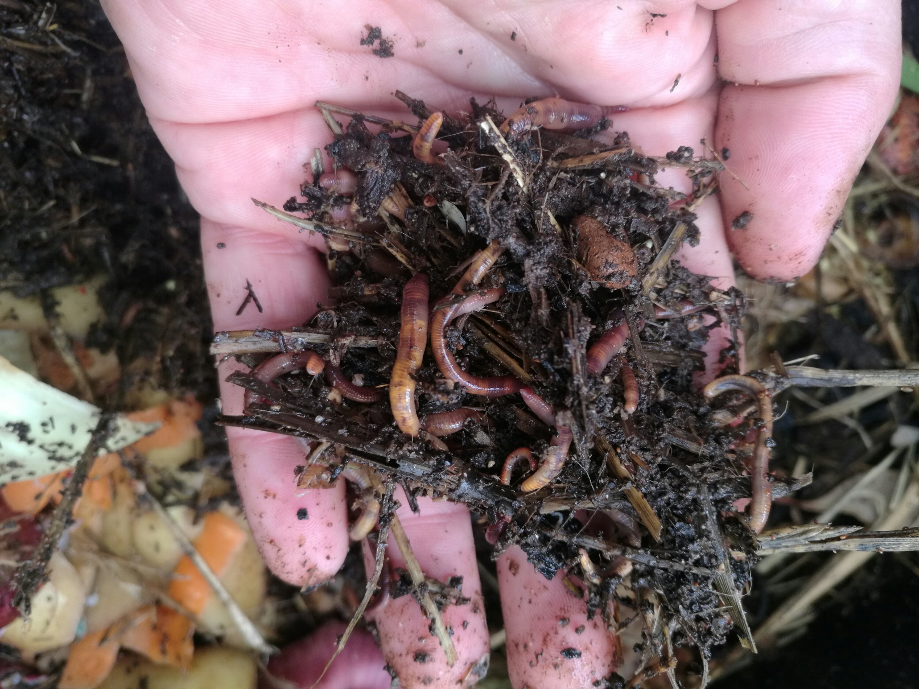 The hardest workers in the place.