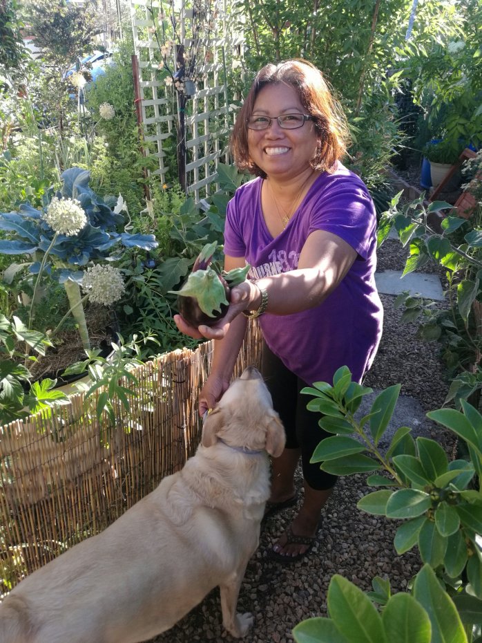 Jelina the top predator