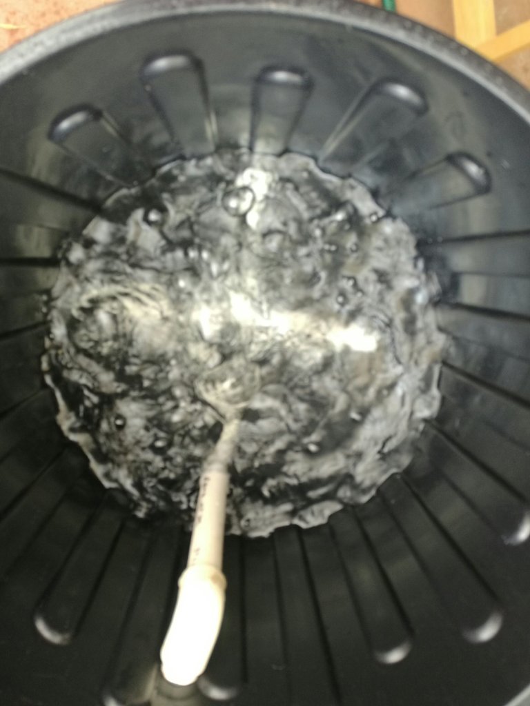 The brewer bubbling away.