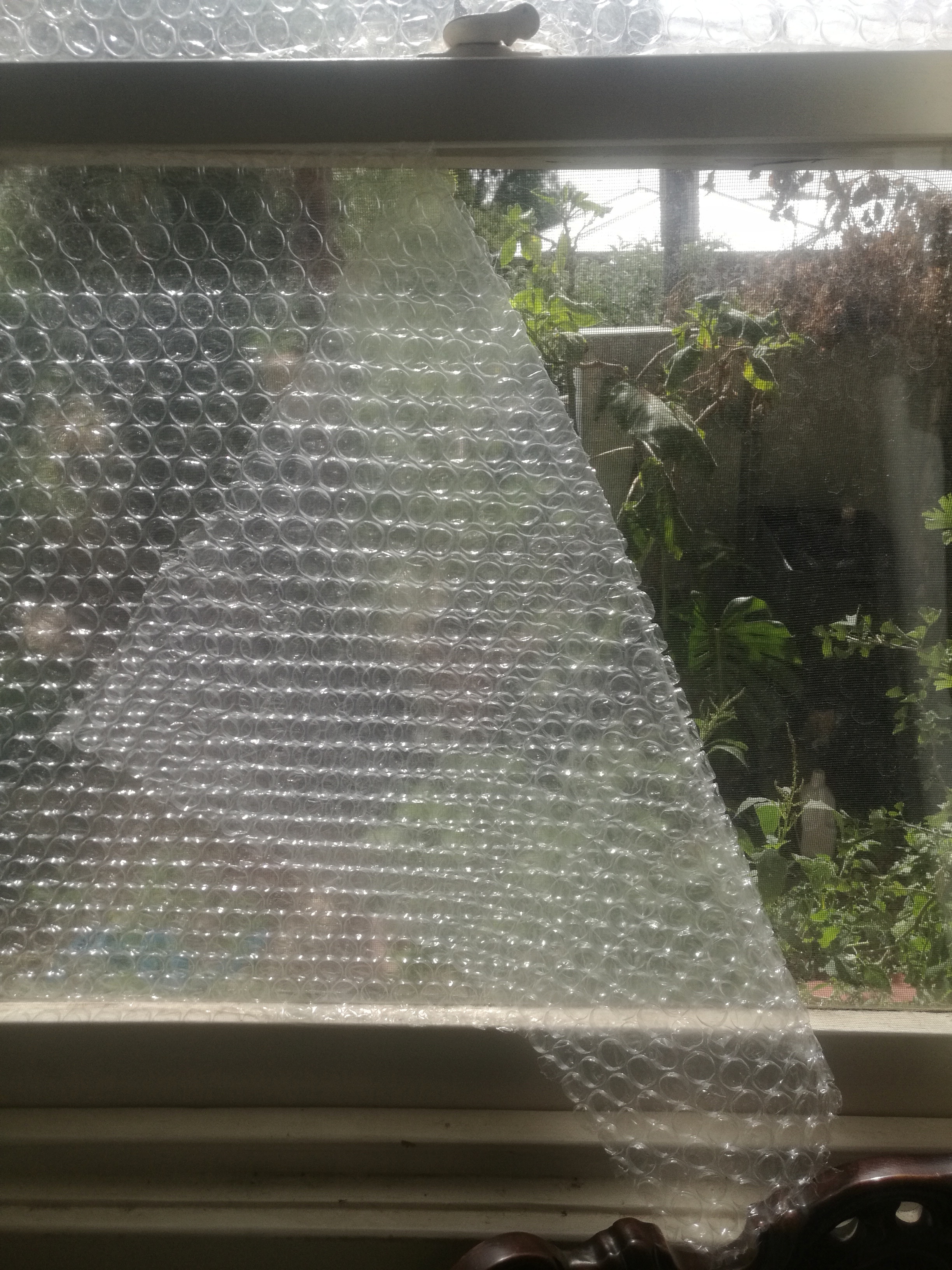bubble wrap window insulation
