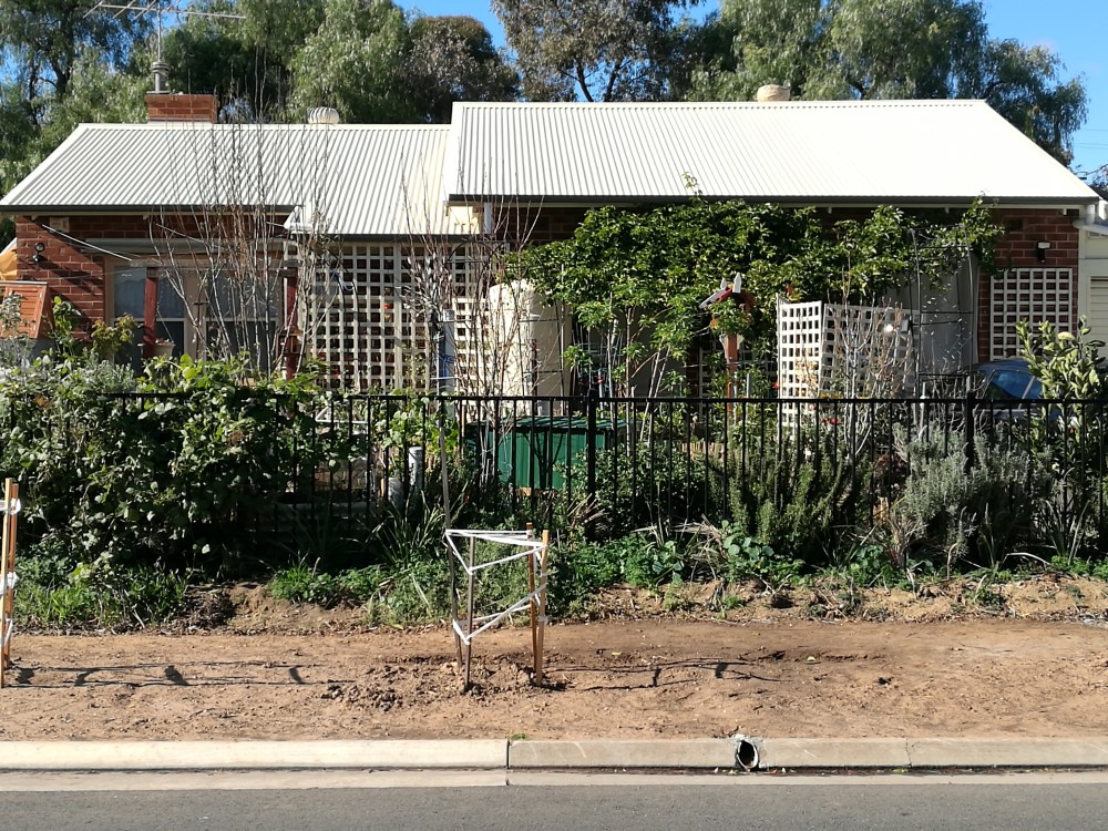 The Passionfruit shaded the bedrooms nicely.