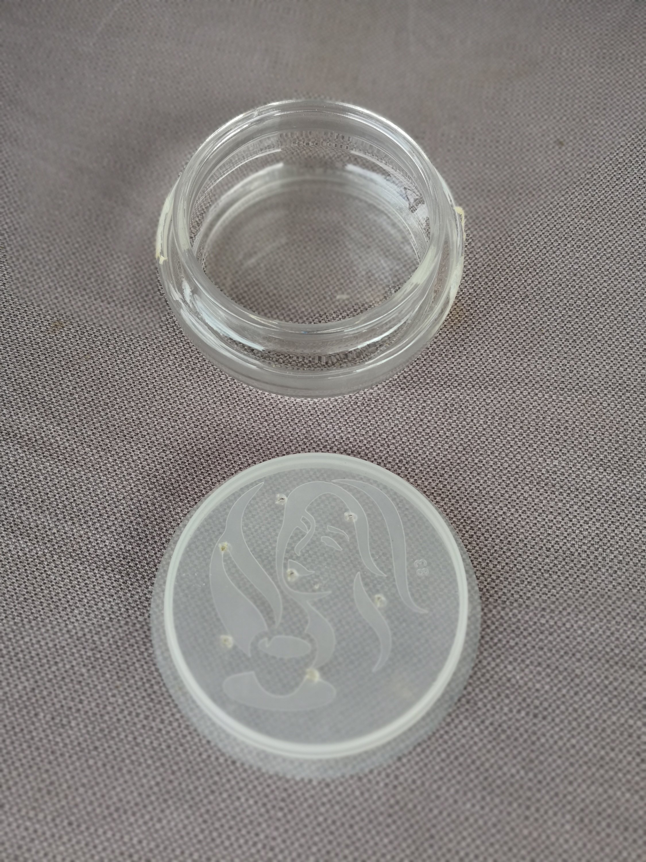 The lids are hollow and have a plastic seal