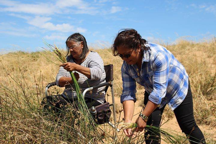 Aunty Ellen & Jelina gathering rushes 