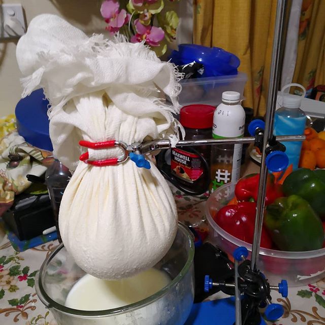 Hang the curds and whey to drain.