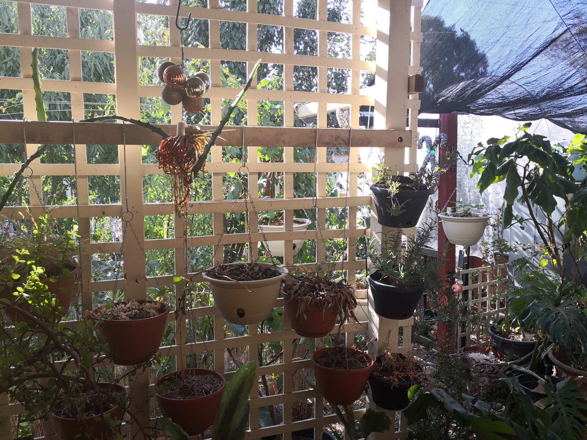 Looking straight at the sun from our front door.