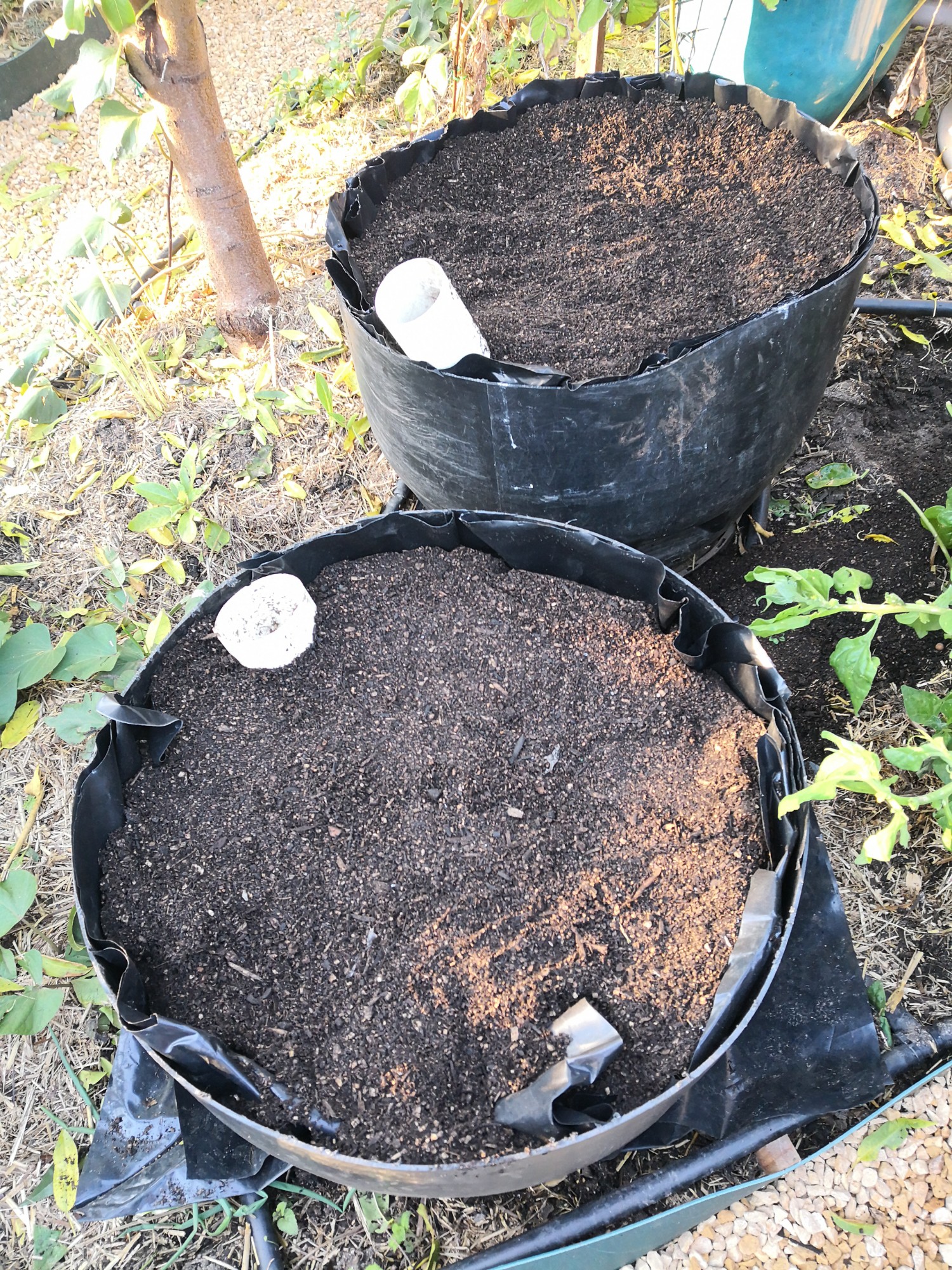 Wicking beds from plastic drums