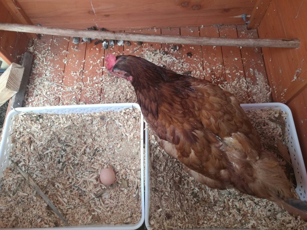 We'll miss her, of course We'll miss her, of course