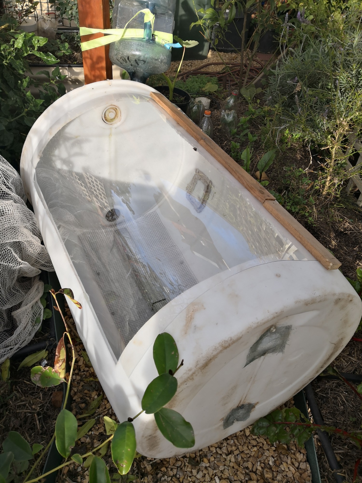 Temporary greenhouse #2 Temporary barrel greenhouse
