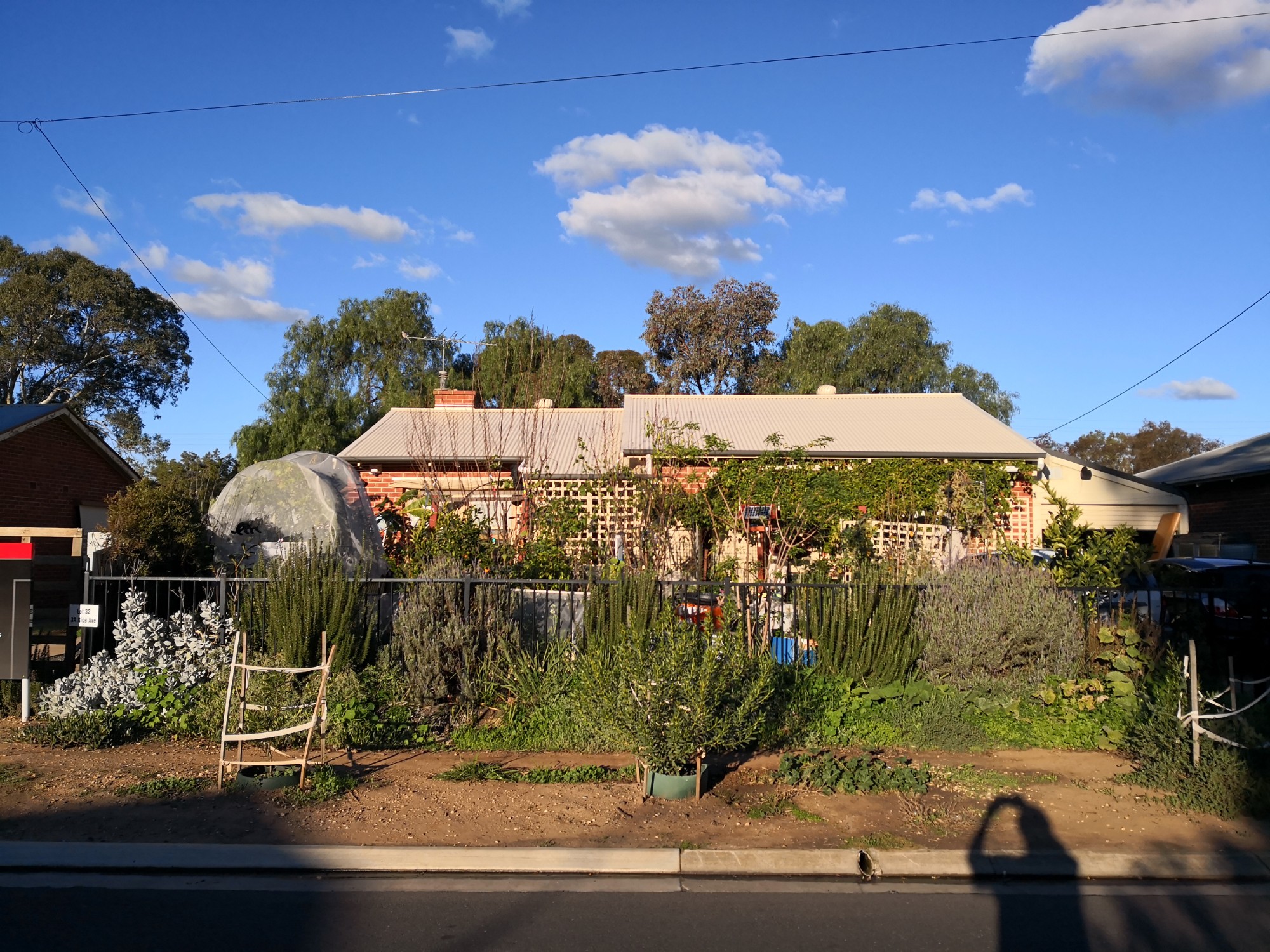 Looks bare winter 2019