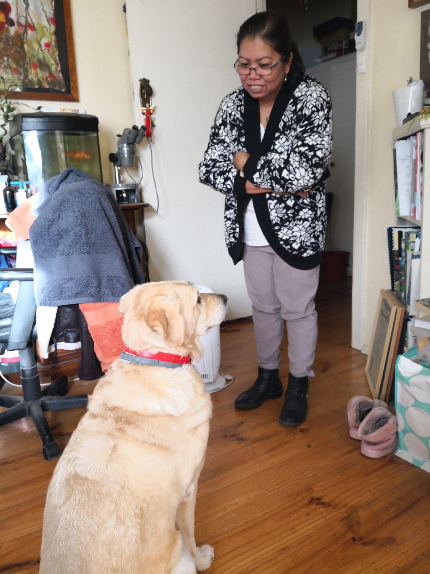 Who is the real boss? I know it isn't me!