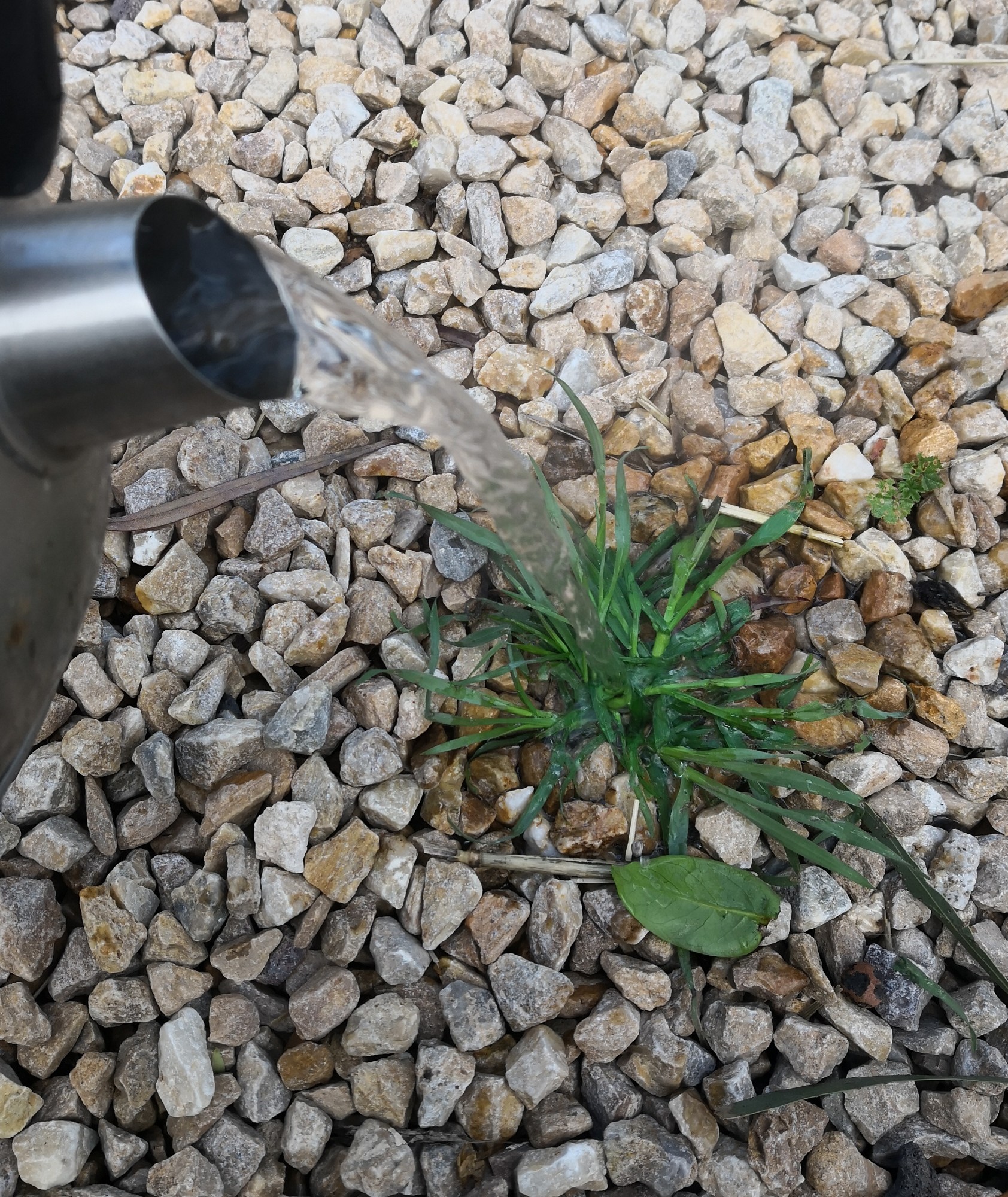 Just hot water from the kettle...