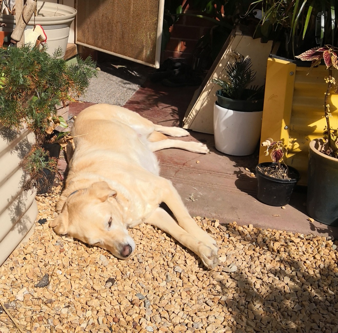 Athena knows what it's all about... 