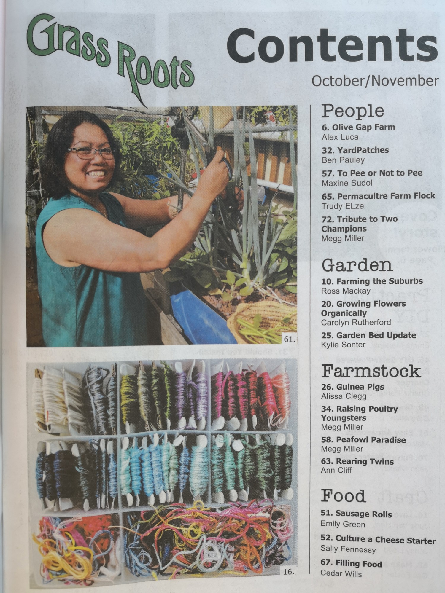 Jelina grass roots Jelina grass roots