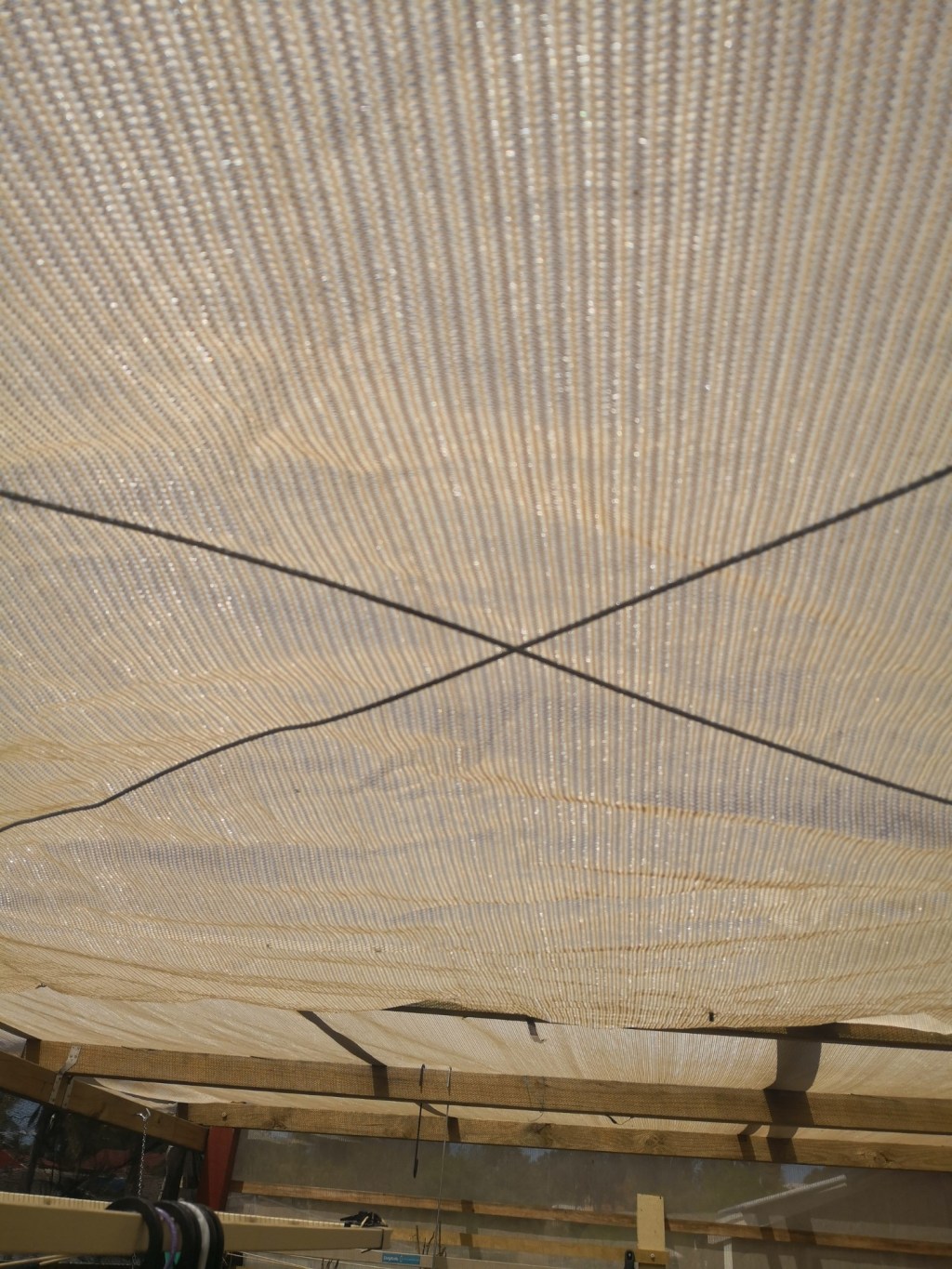 Last week in Ligaya Garden&nbsp;#11