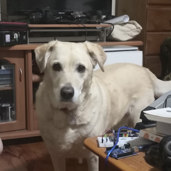 Last week in Ligaya Garden&nbsp;#13