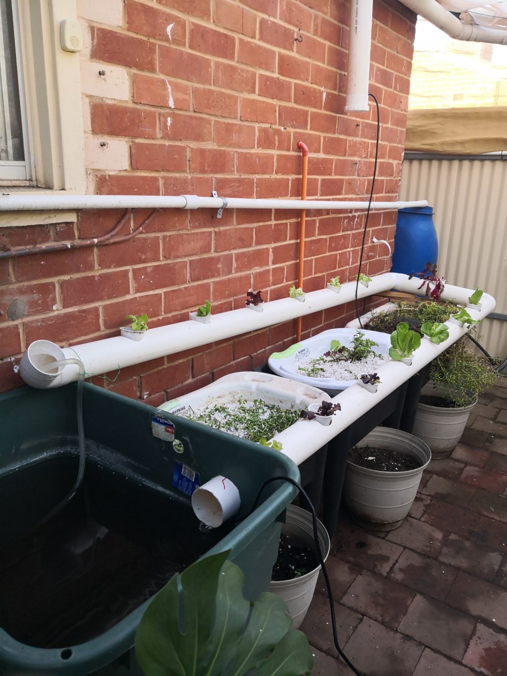 A new aquaponics&nbsp;system
