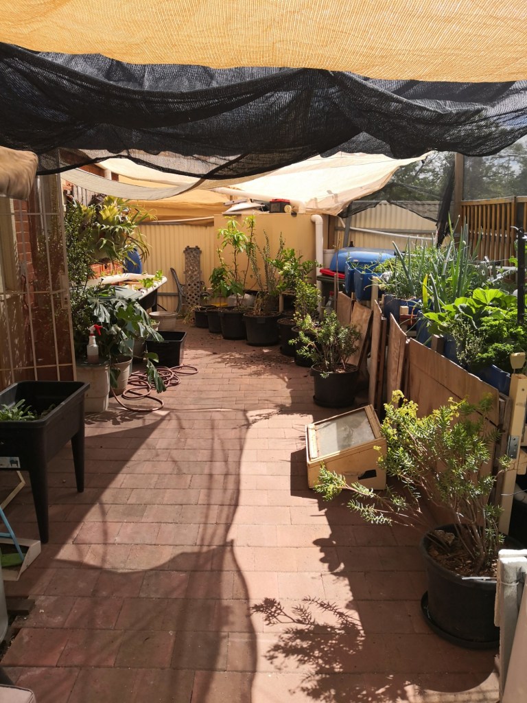 Blocking the Sun is the most effective way to stay cool.