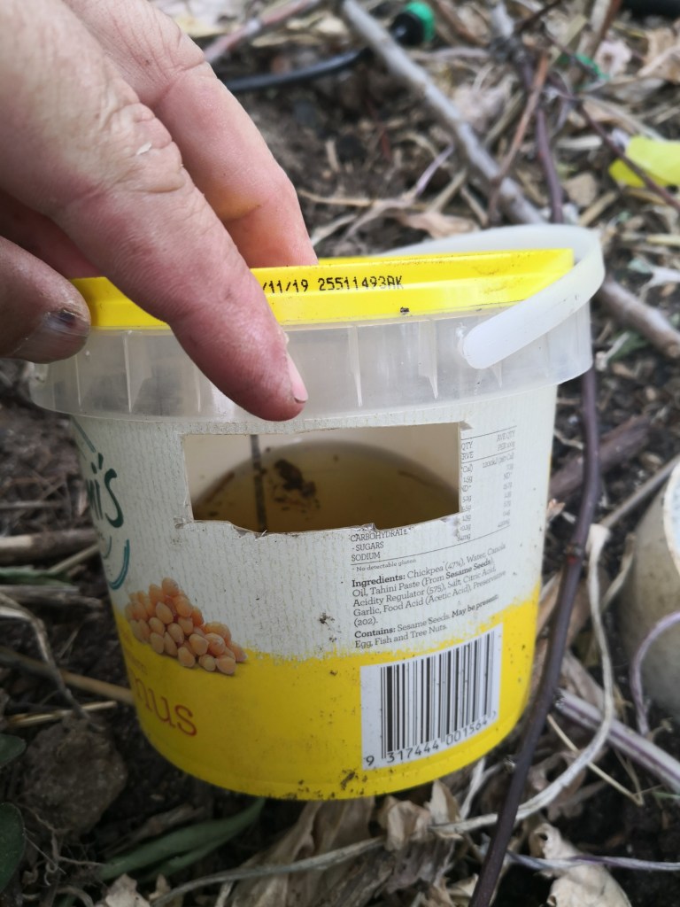 Cut holes around the container, near the top.