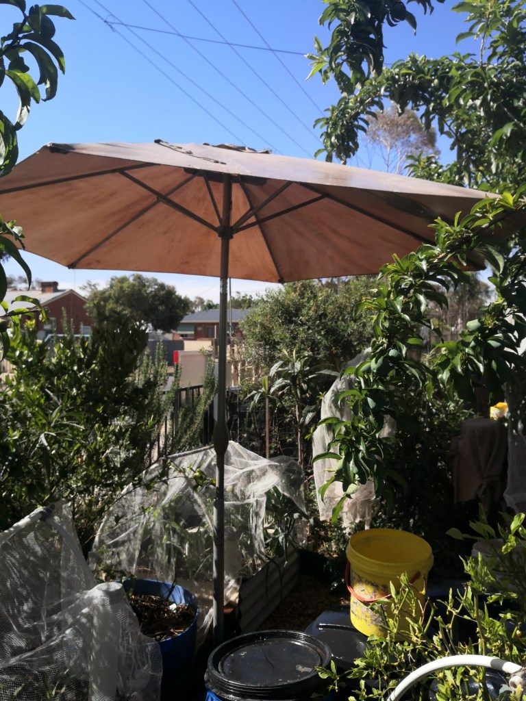 Shade umbrellas help a lot