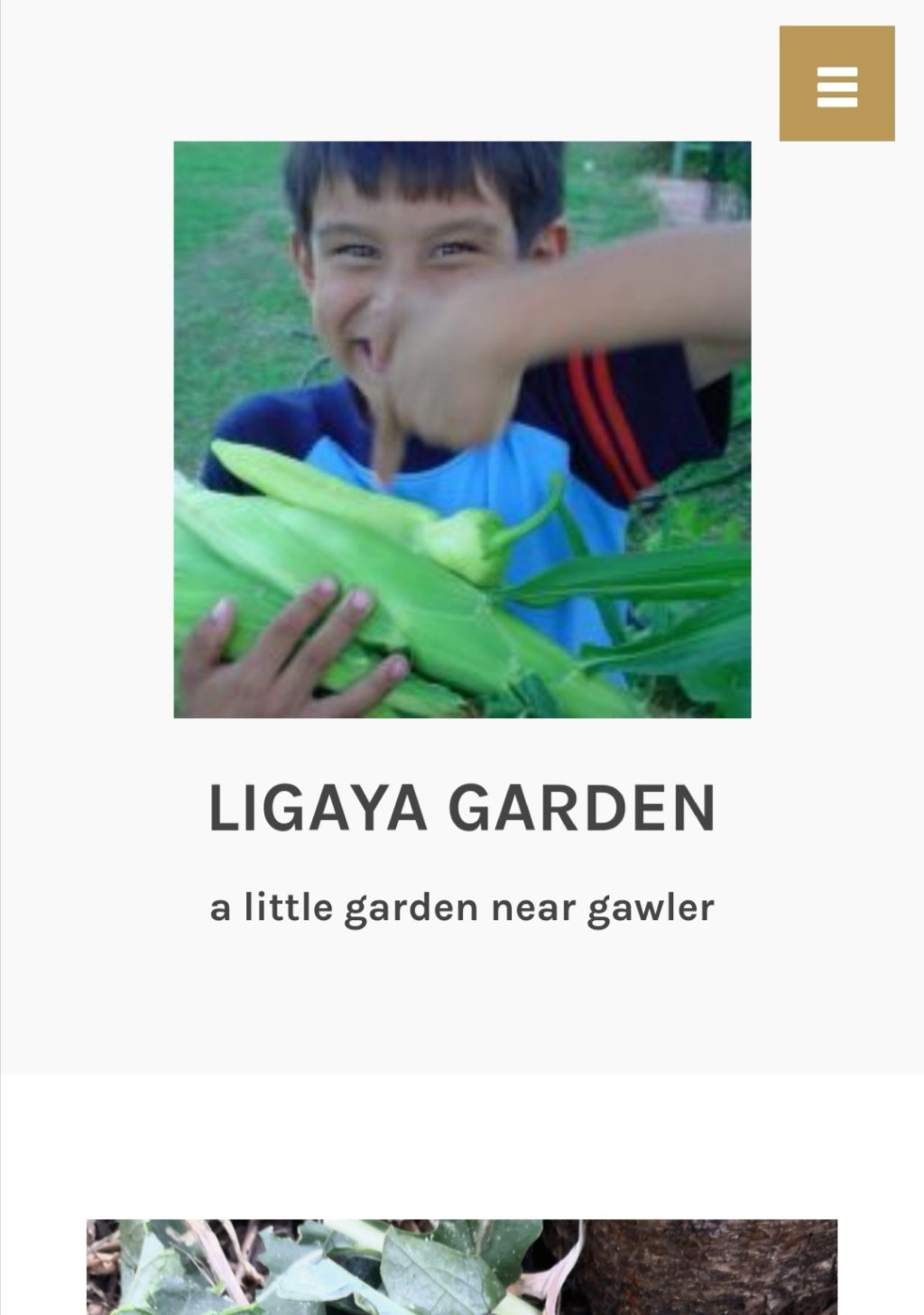 New Instagram after the&nbsp;ban