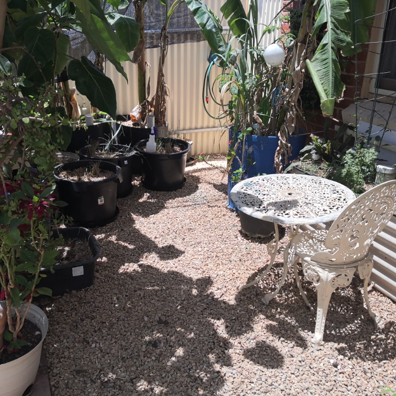 Last week in Ligaya Garden&nbsp;#14