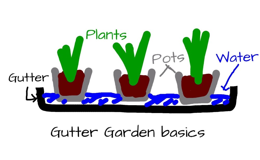 Gutter gardens