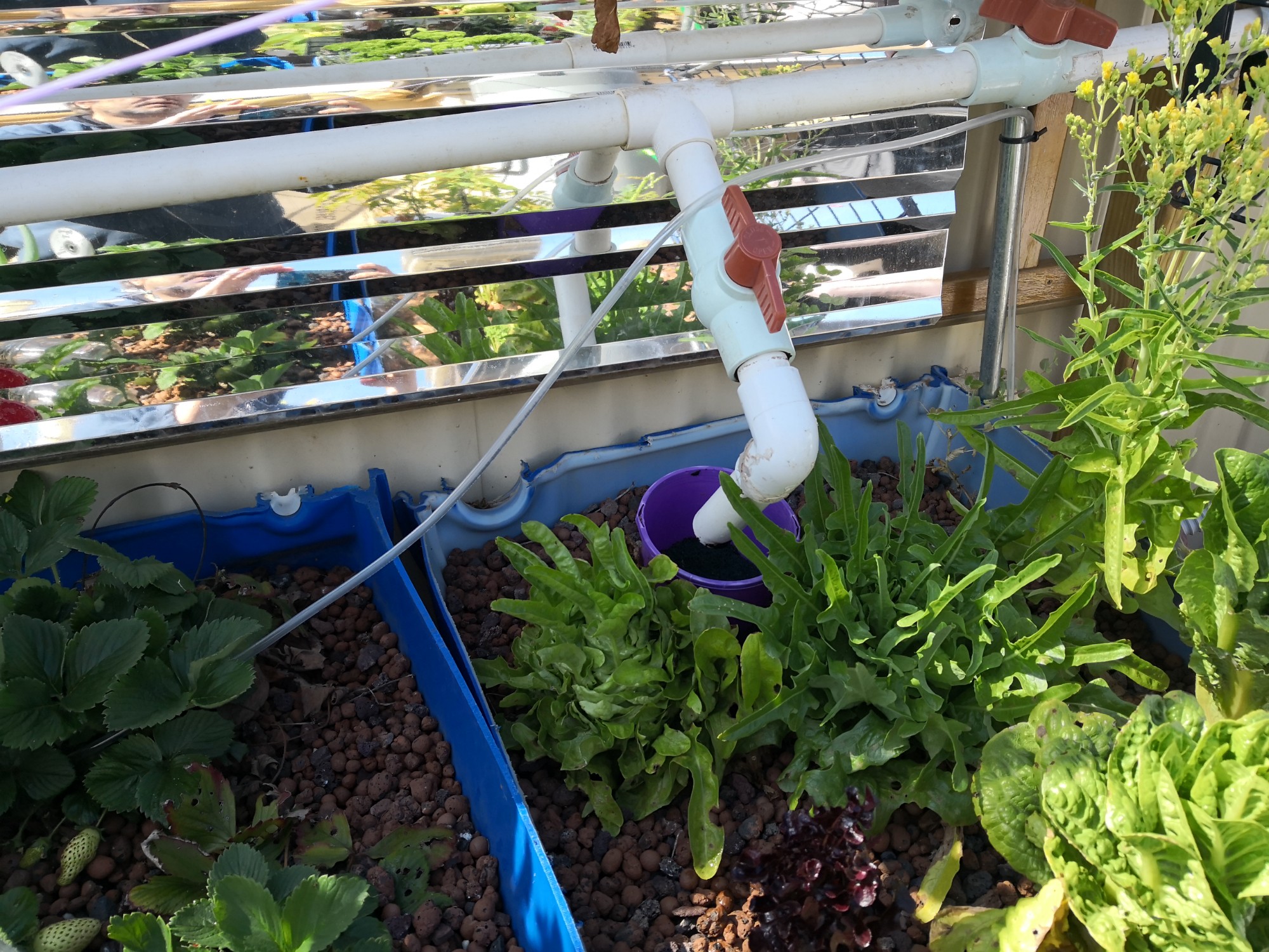 Each bed has its own shut-off valve