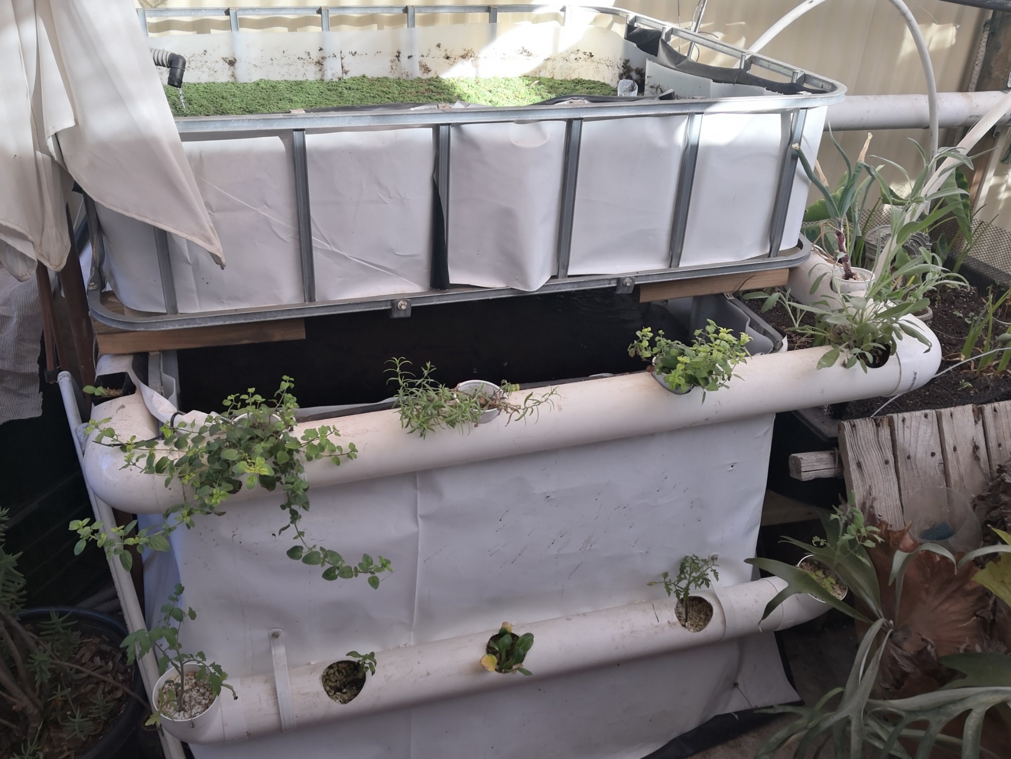 Chopped & flipped IBC