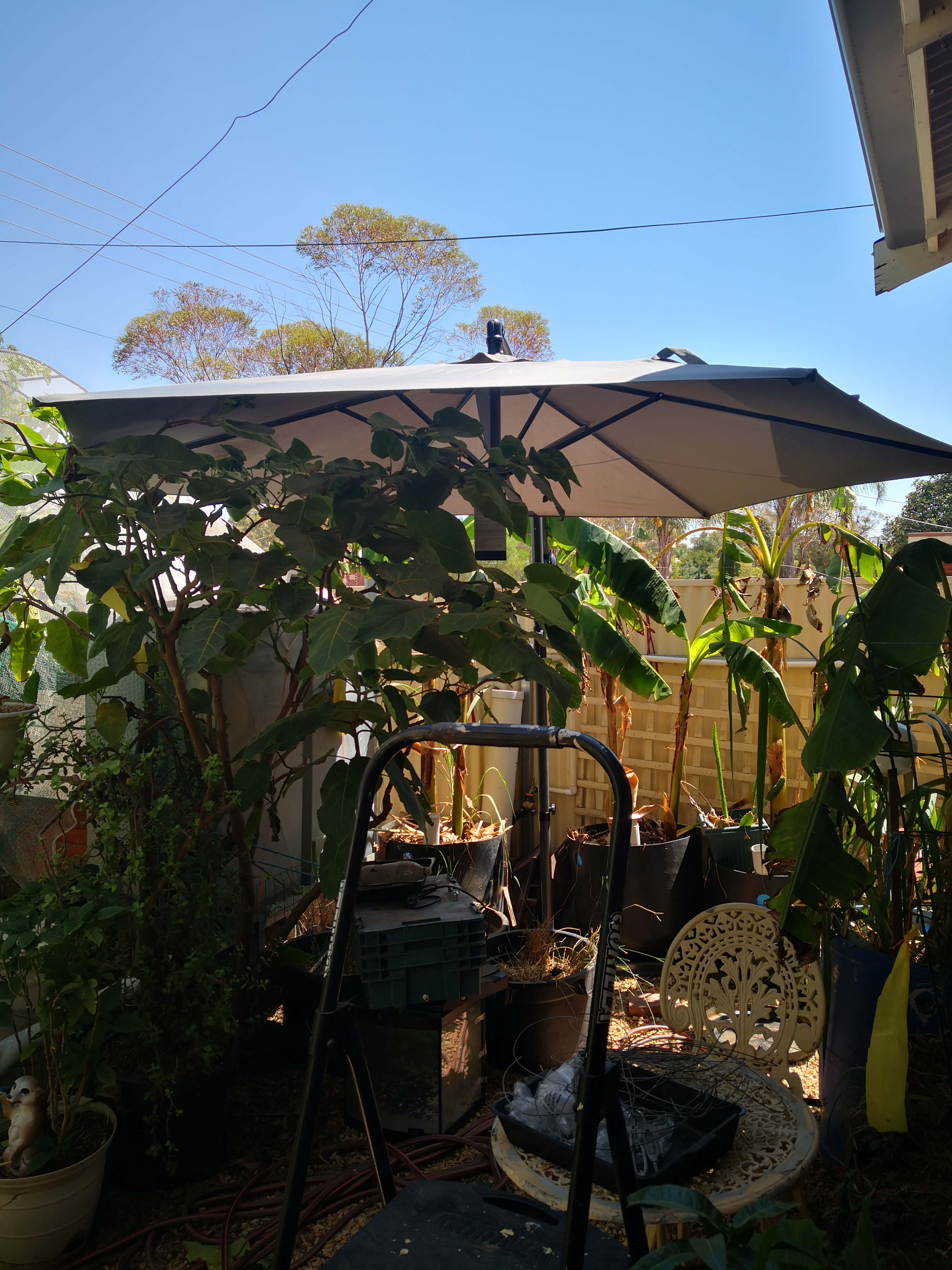 Adapting to bushfire season