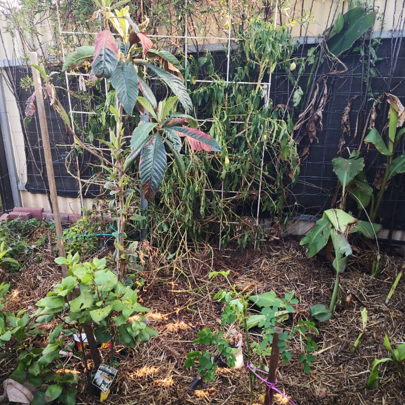 Northwest tidy up