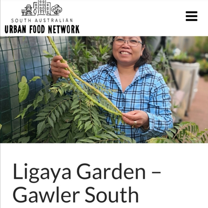 Our case has been&nbsp;studied