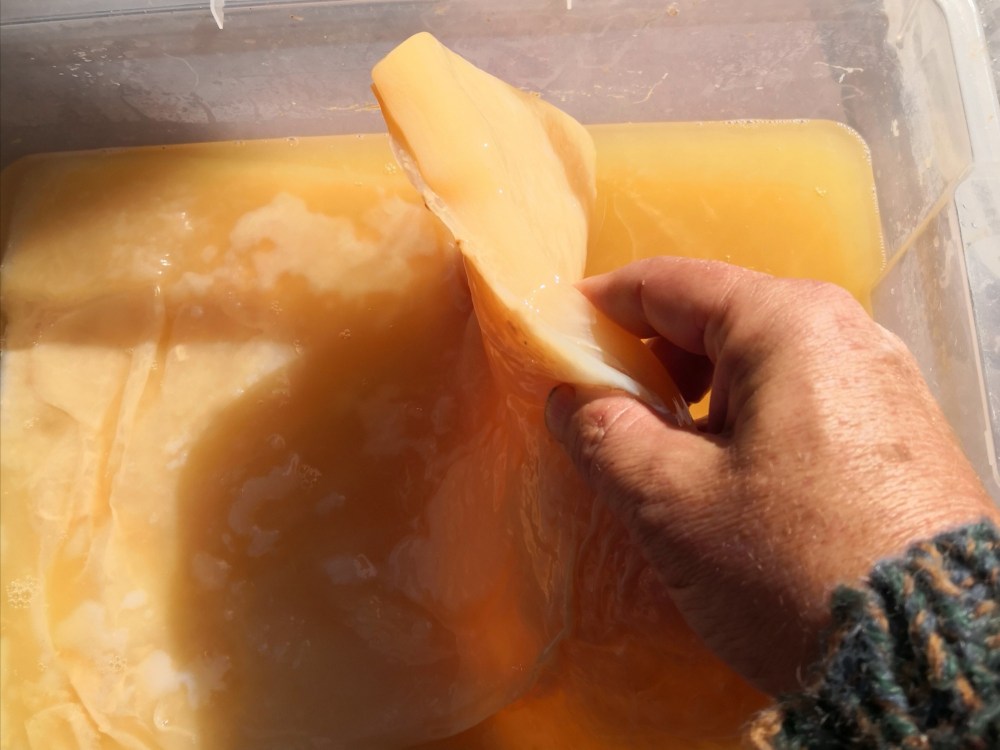 The Mother will keep on growing