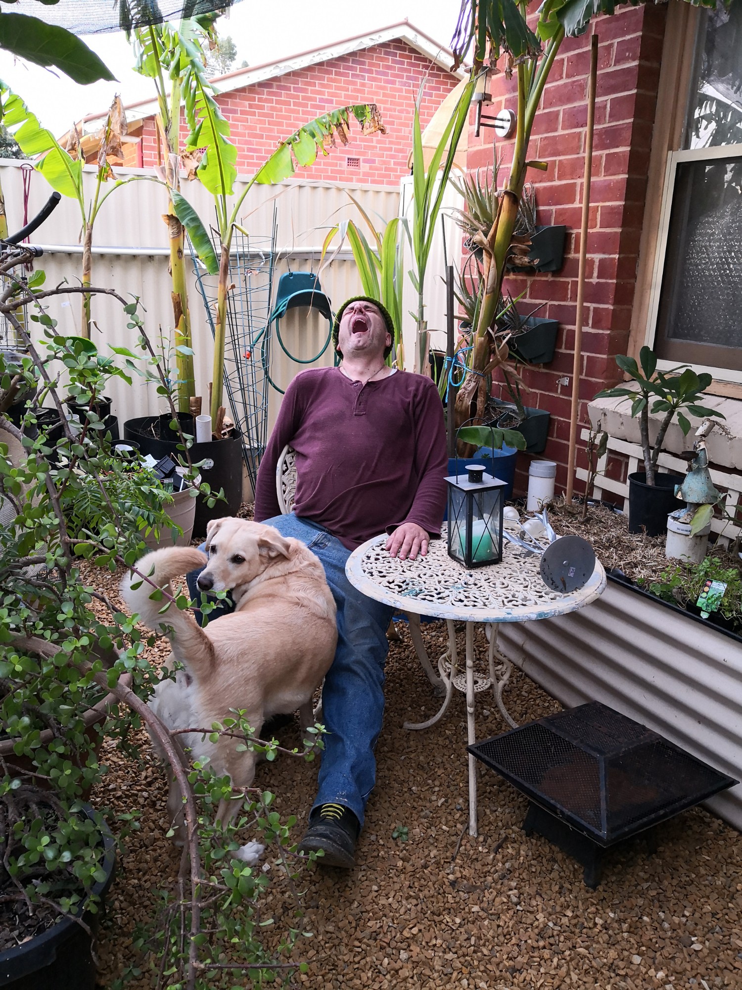 Ligaya Gardening Tips #11 Put your feet up