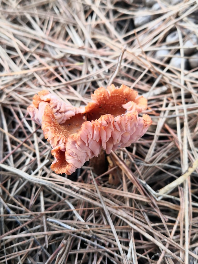 The margins curl a lot as the day goes on.