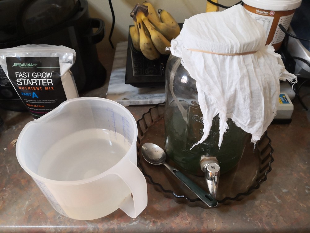 Added nutrients and agitation to the mix.